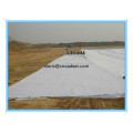 Geotextile Fabric